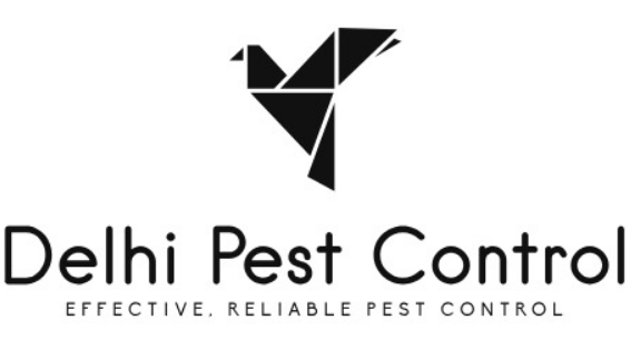 Delhi Pest Care Services